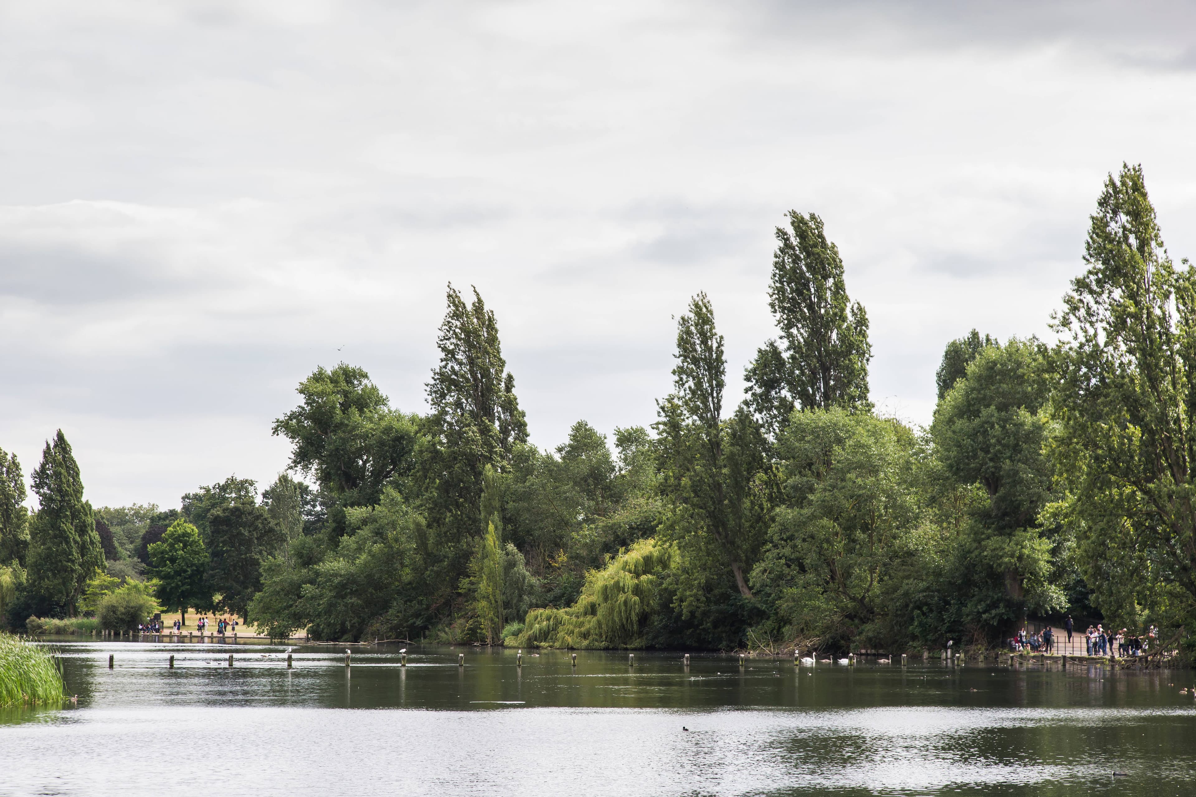 Queens Gardens III