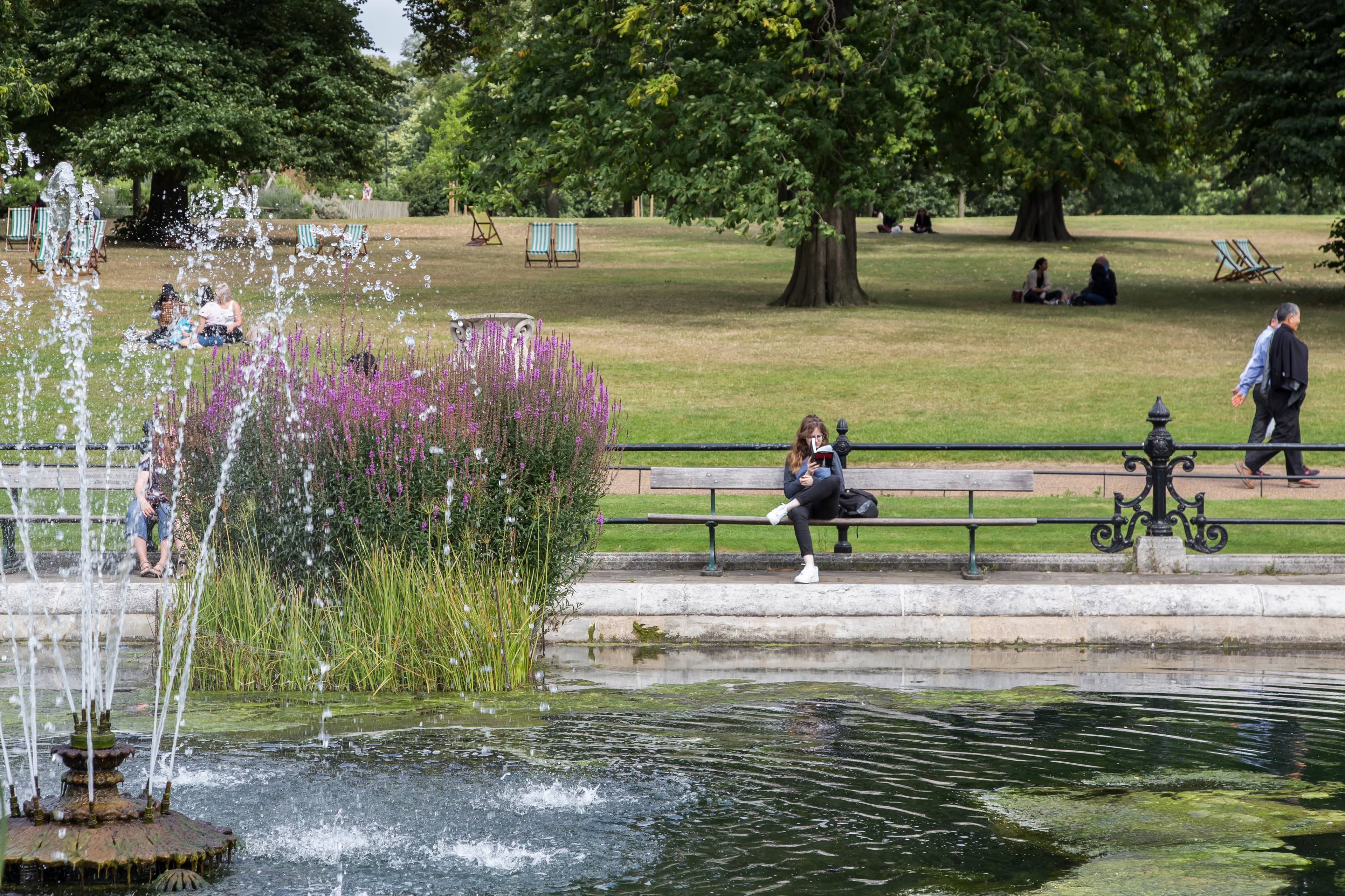 Queens Gardens III